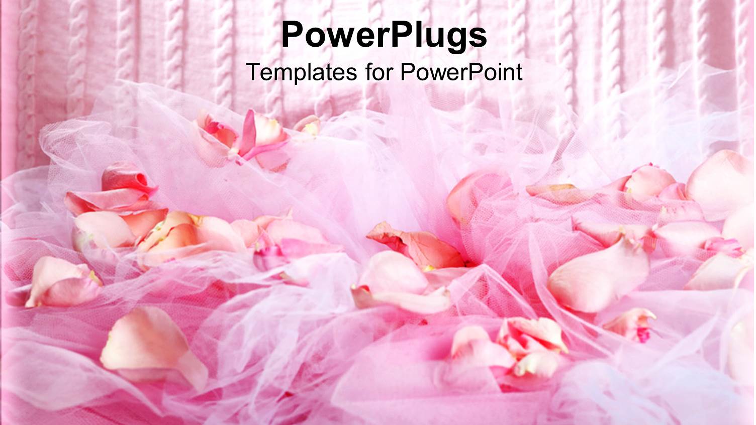 the Fabric and Flowers Along with Pinkish Lines in the Background