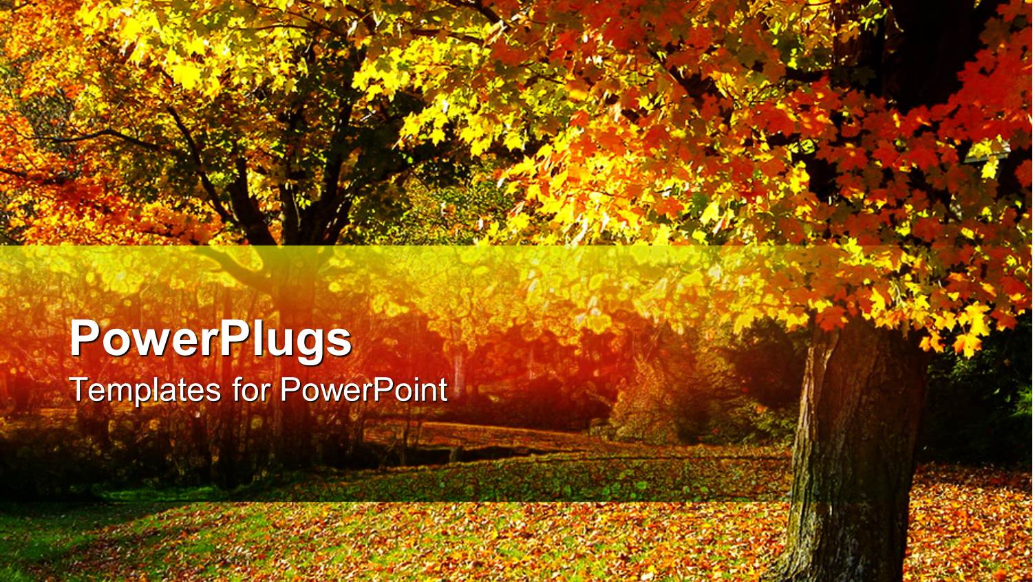 Fall Autumn Landscape with Trees and Leaves on the Ground