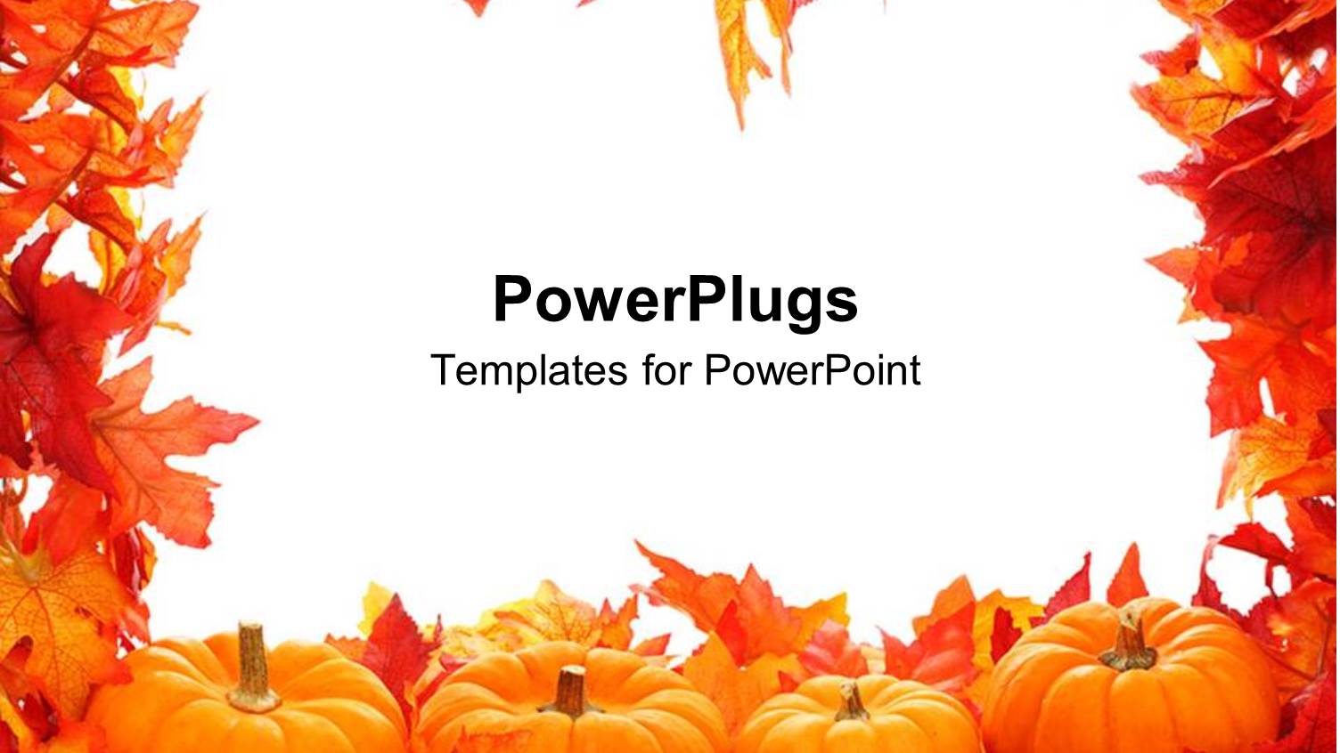 Fall Autumn Leaf Border with White Background and Pumpkins