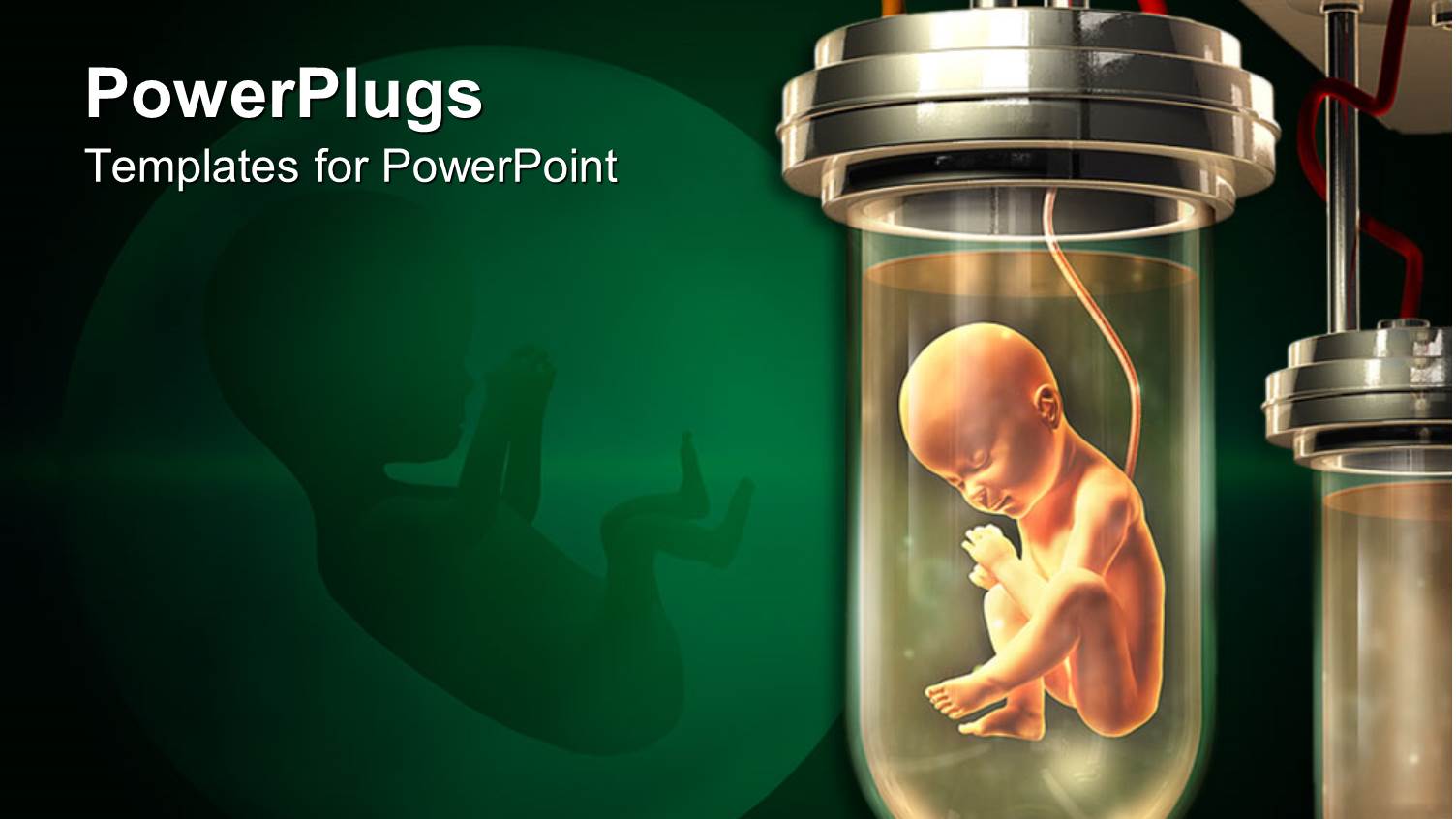 Fetus in a Lab Glass Container and Representation of Fetus in Womb in the Background
