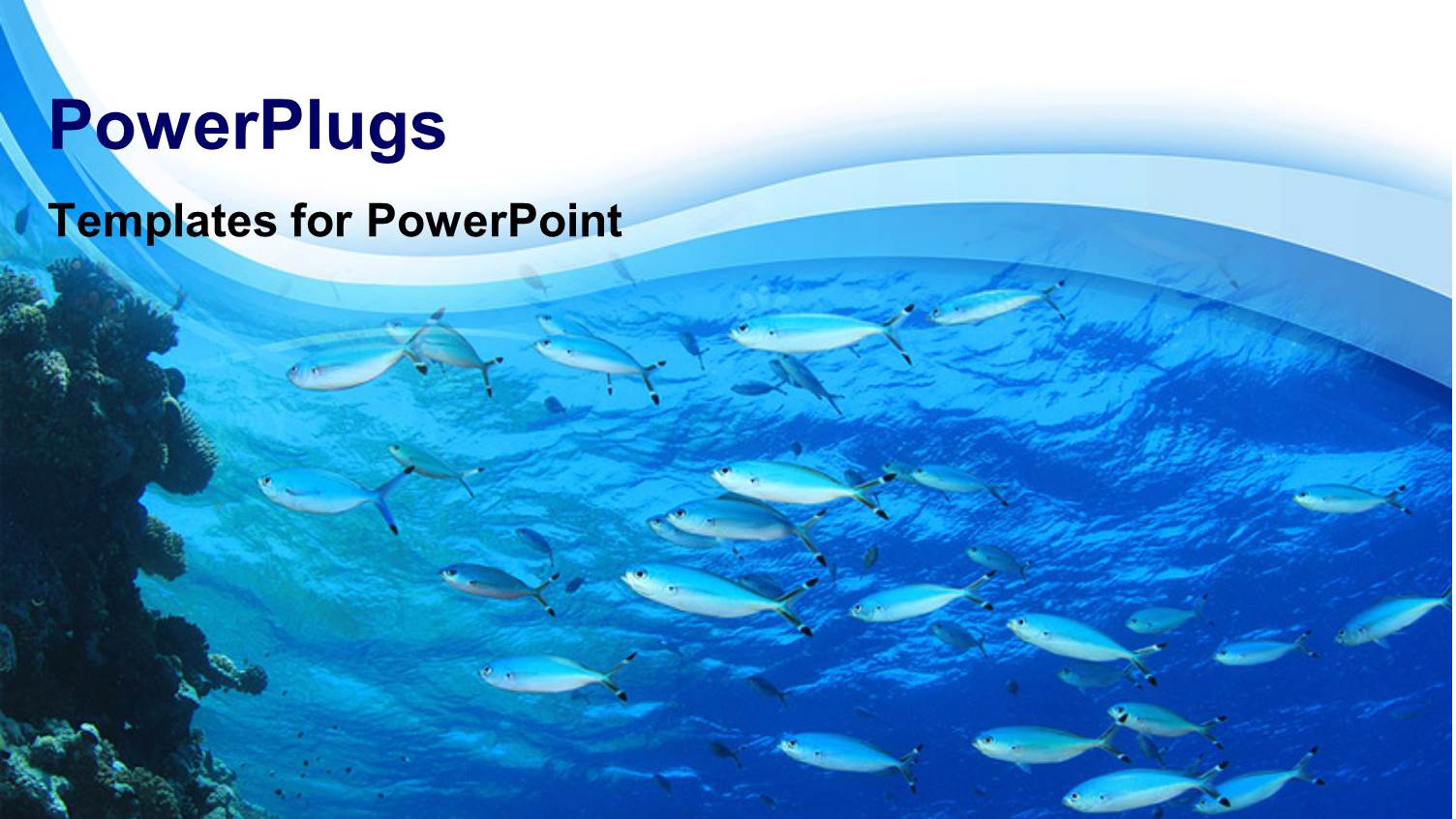 Fishes Swimming in Blue Water with Blue Waves in the Background