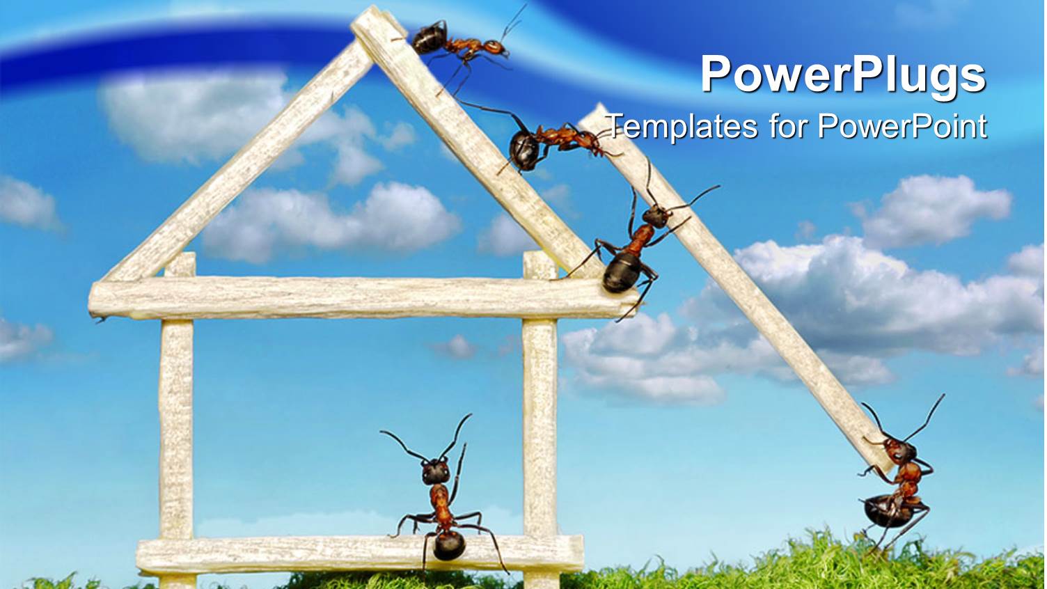 Five Ants Working in Team to Build House of Wooden Matches on Grass and Blue Sky in the Background