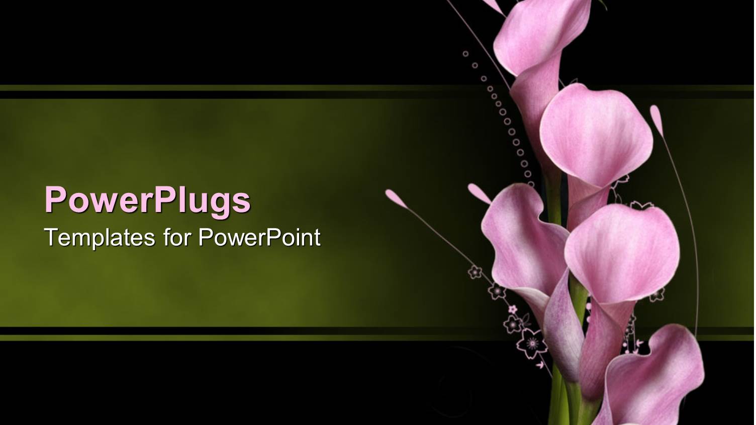 Five Opened Lilac Pink Callas Over Delicate Floral Pattern on Green and Black Background