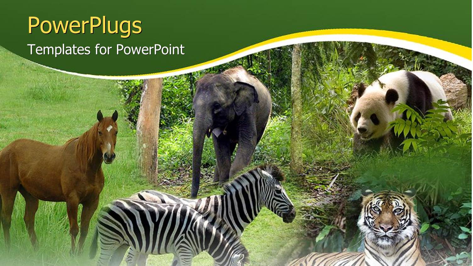 Five Tiles Showing Different Animals in a Forest Setting