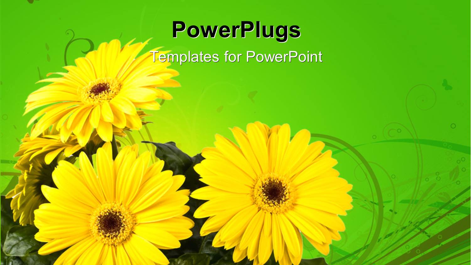 Floral Green Background with Three Bright Yellow Gerber Flowers