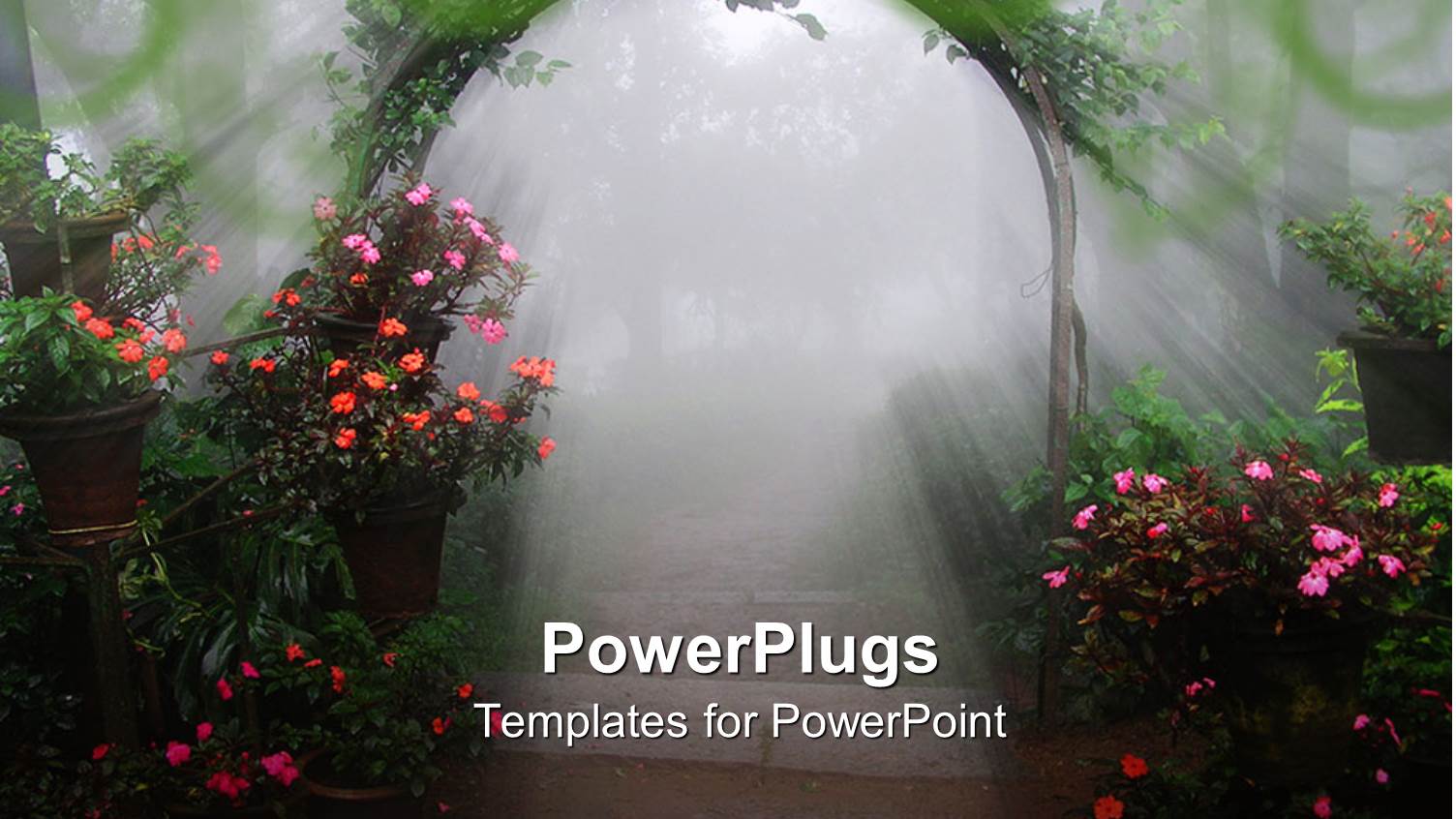 Flowering Vine Archway, Potted Plants, Sunshine