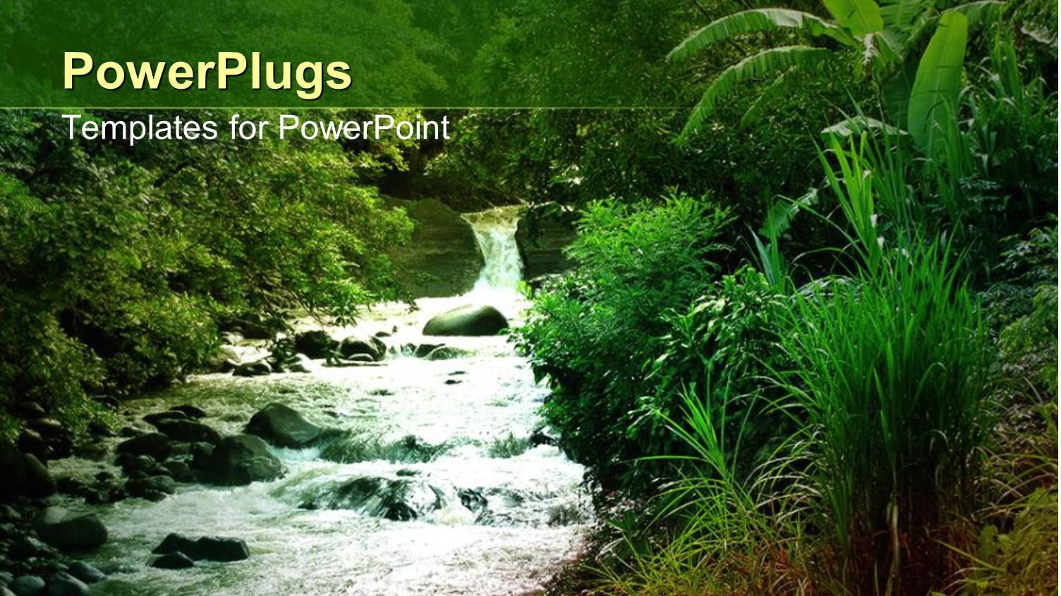 Flowing Stream with Green Natural Vegetation