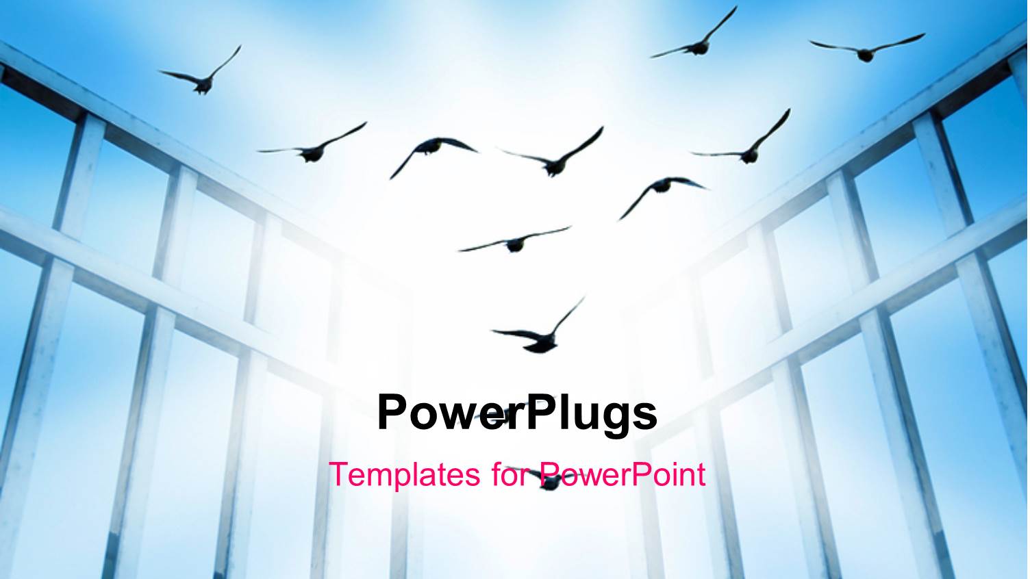 Flying Birds Depicting Freedom with Sky in the Background