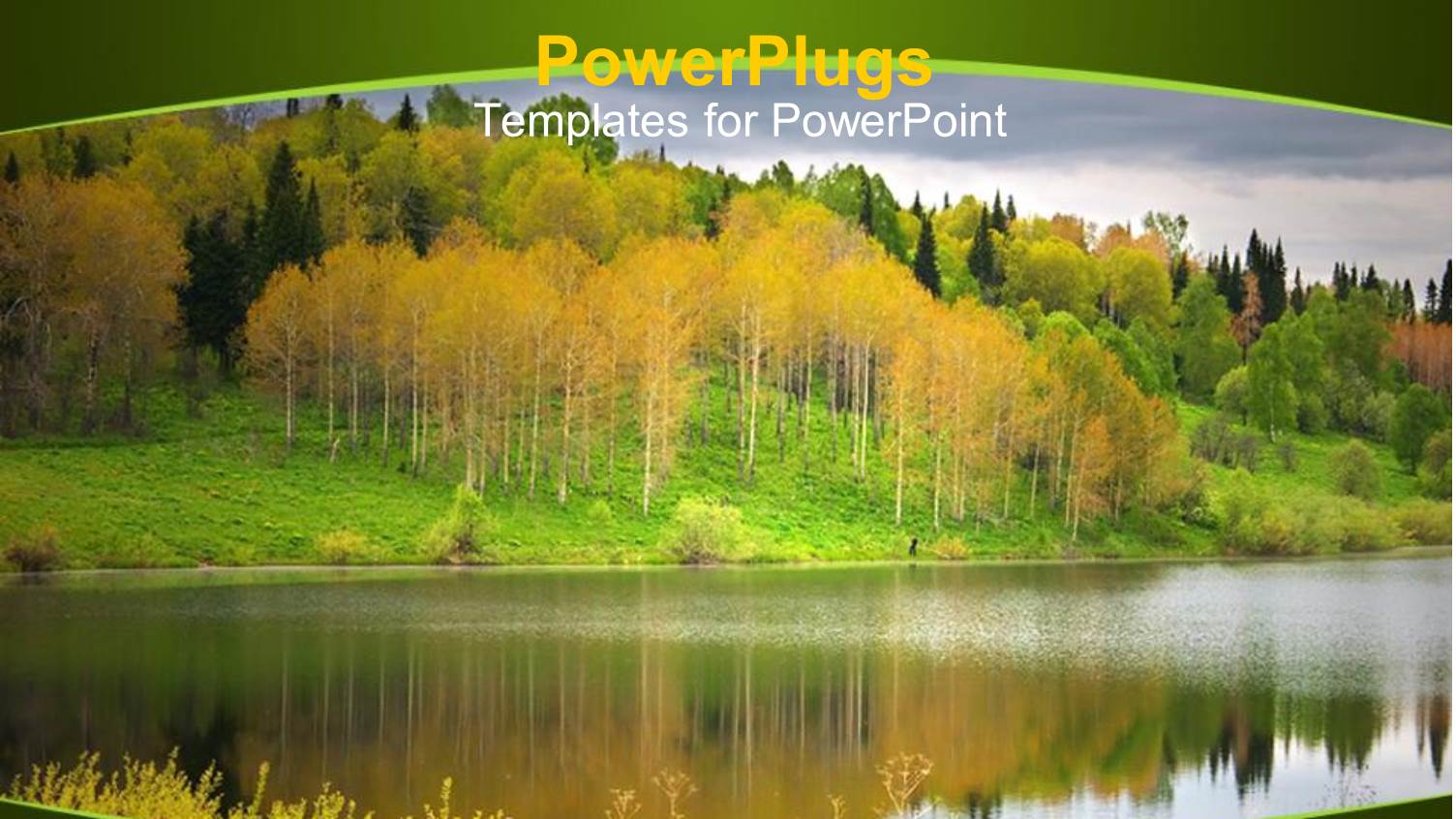 a Forest with a Lake and the Reflection of Trees in the Lake