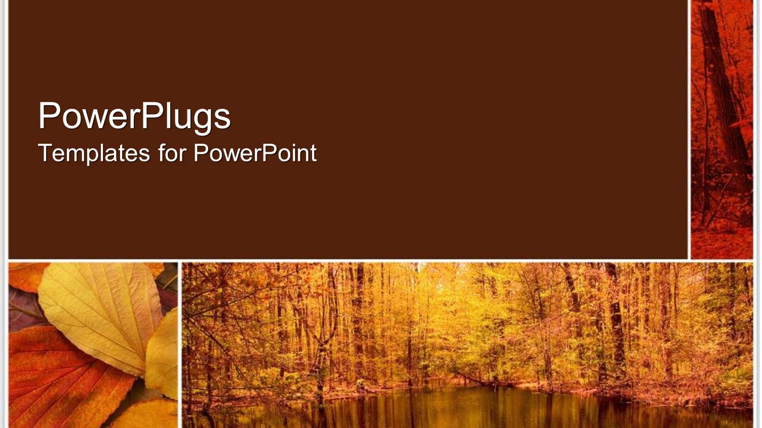 a Forest and a Number of Leaves