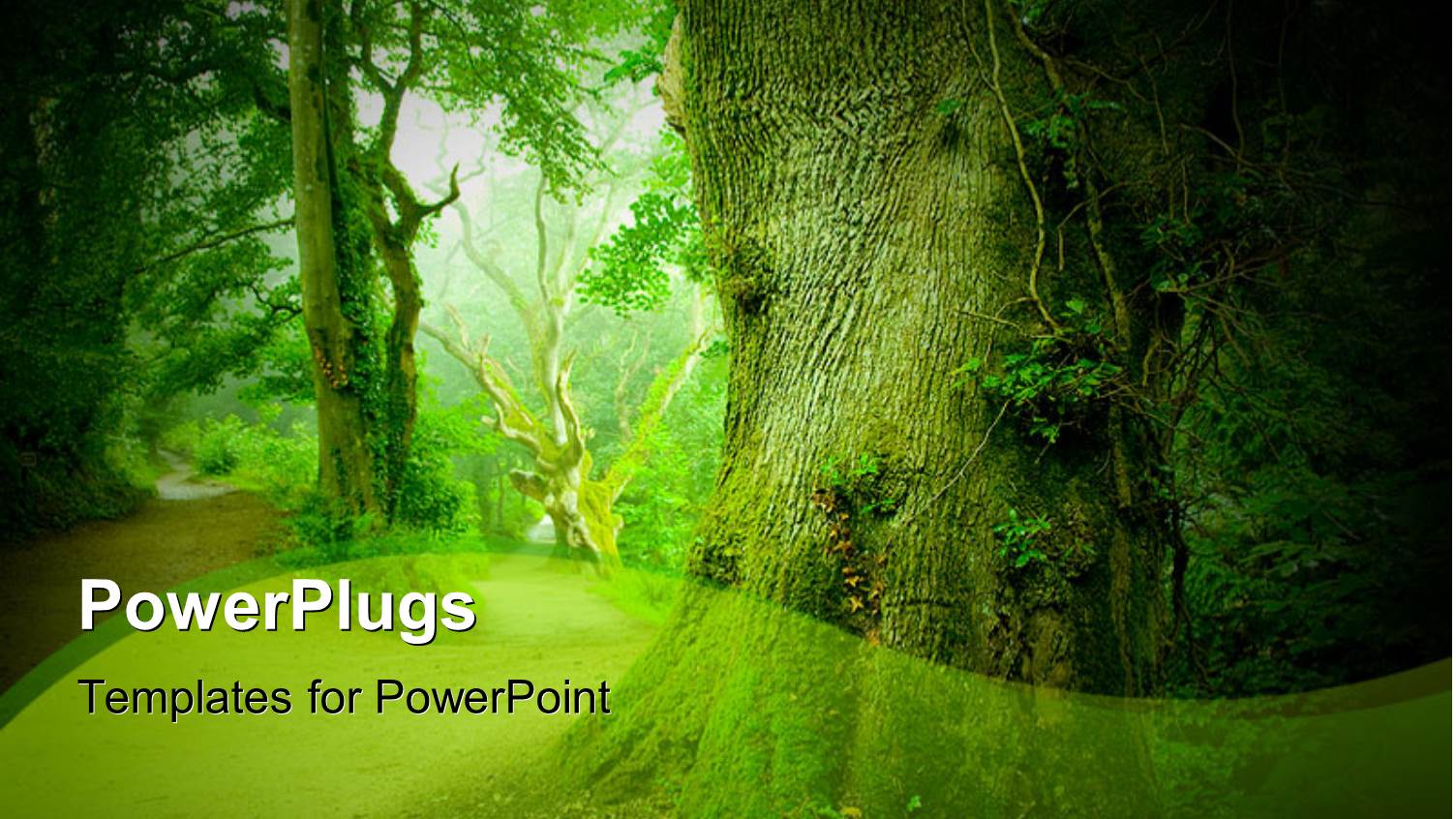 Forest with Trees and Green Leaves Depicting Nature