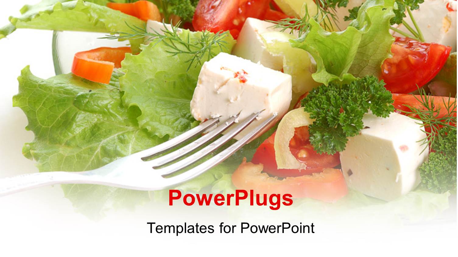 Fork in Dish of Vegetable Salad, Tomato and Lettuce