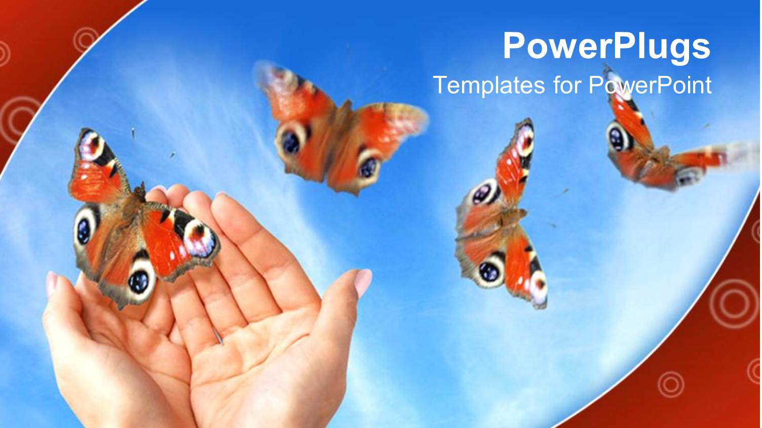 Four Flying Butterflies and Two Woman Hands Releasing Butterfly on Bright Blue Sky Background