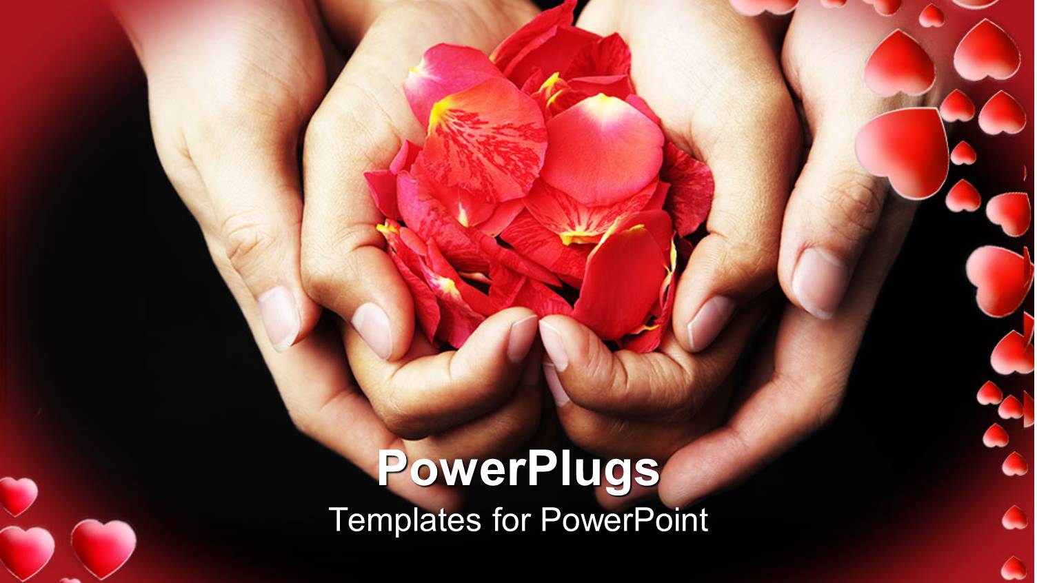 Four Hands Holding Red Rose Petals on Black Background with Red Frame Filled with Red Hearts