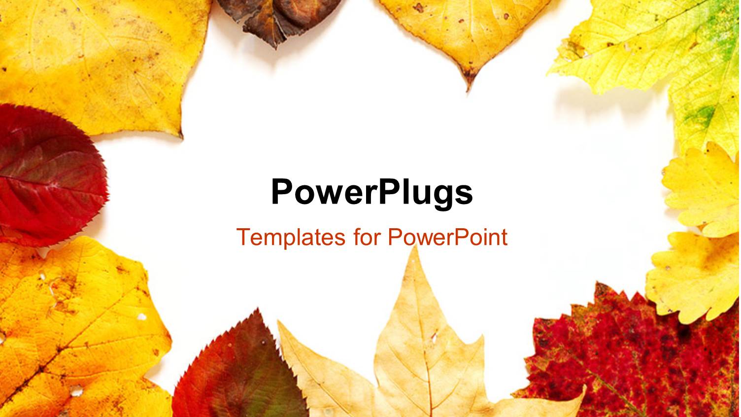 Frame with Beautiful Autaumn Leaves