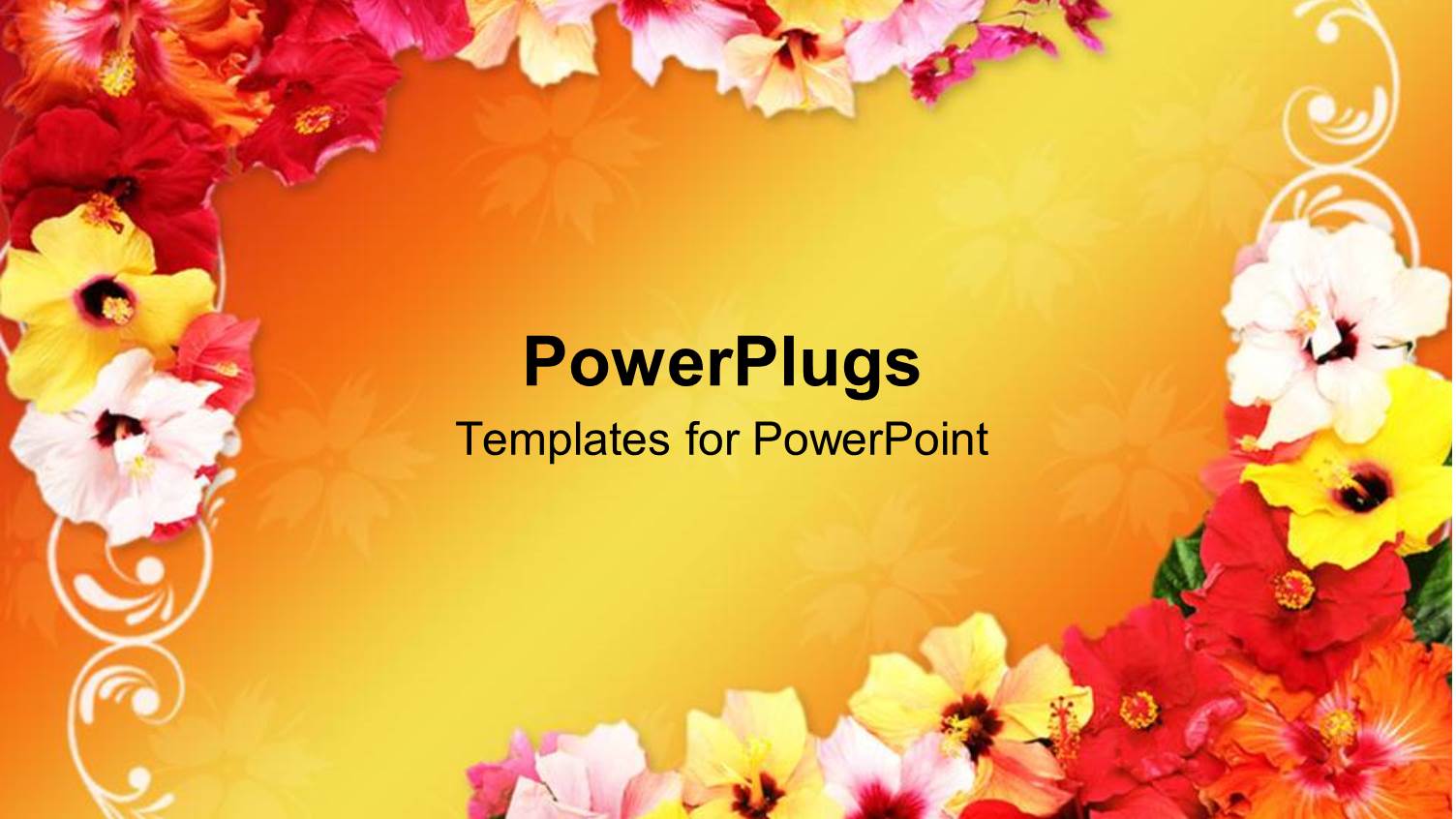 Frame with Multi Colored Hibiscus Flowers Designing the Corners