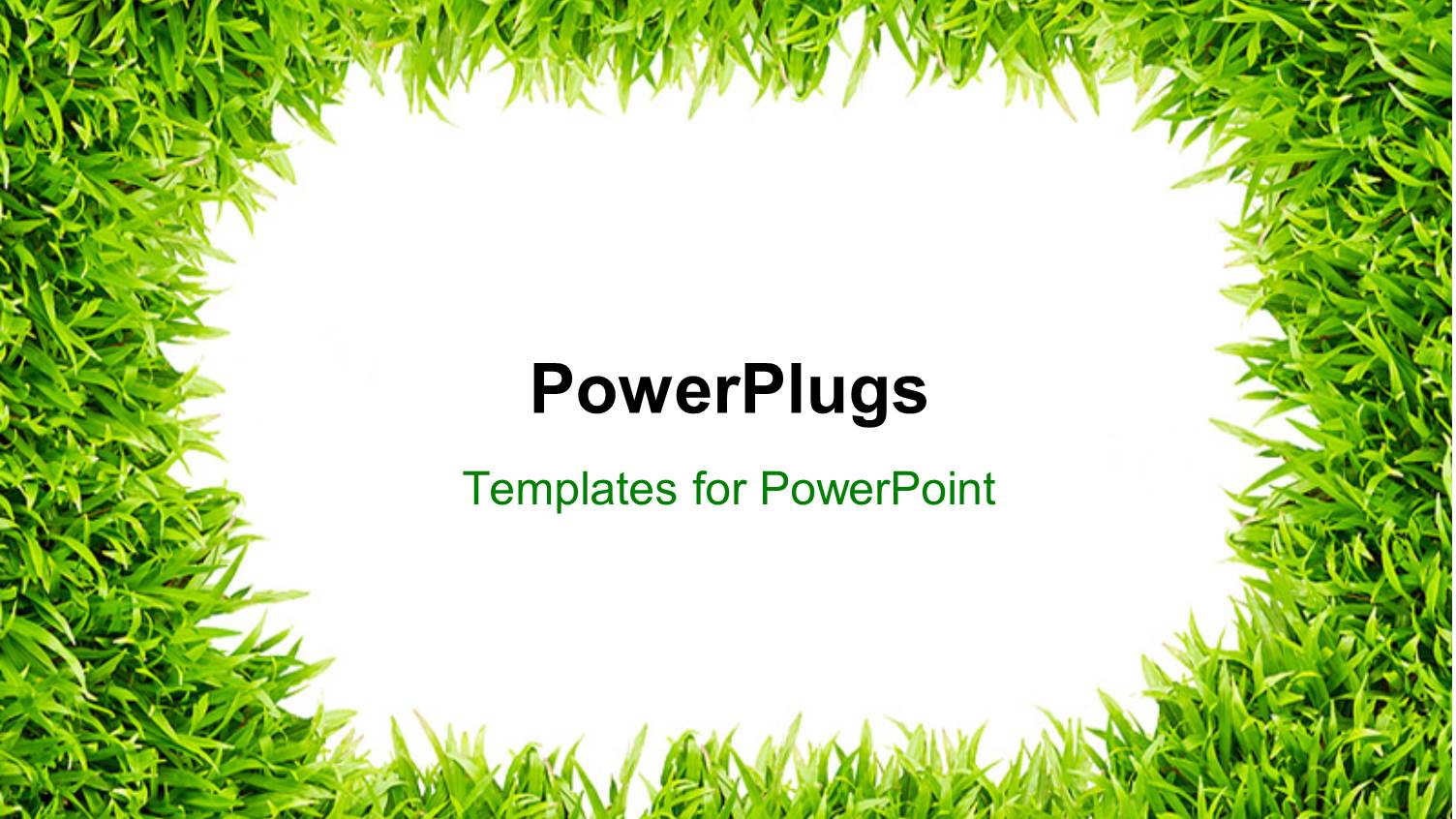 Frame Surrounded with Green Grass Depicting Nature