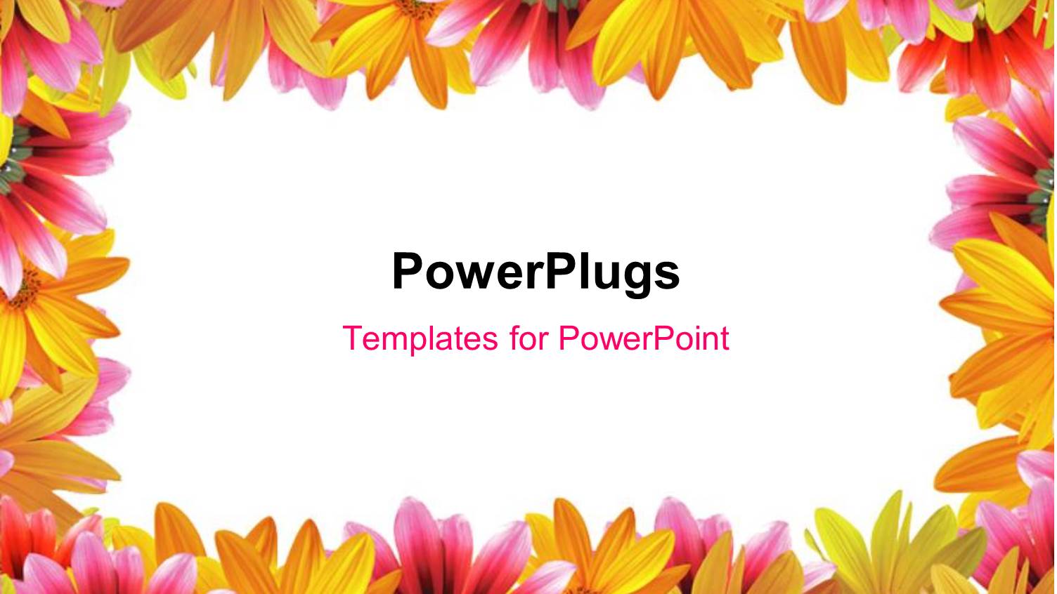 Frame of Yellow and Pink Color Flowers with White Color