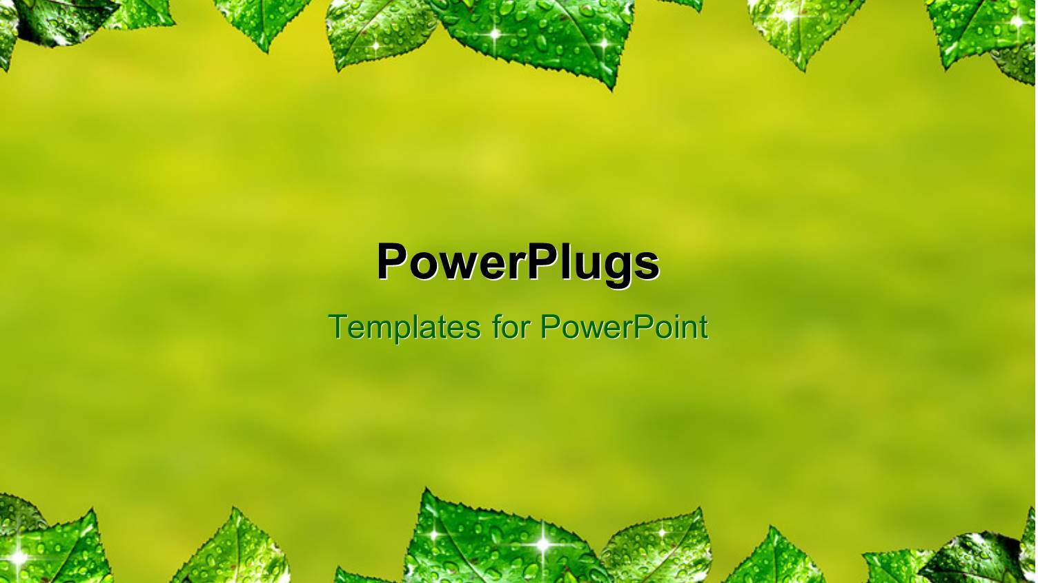 Fresh Green Leaves with Water Drops on Blurry Background 