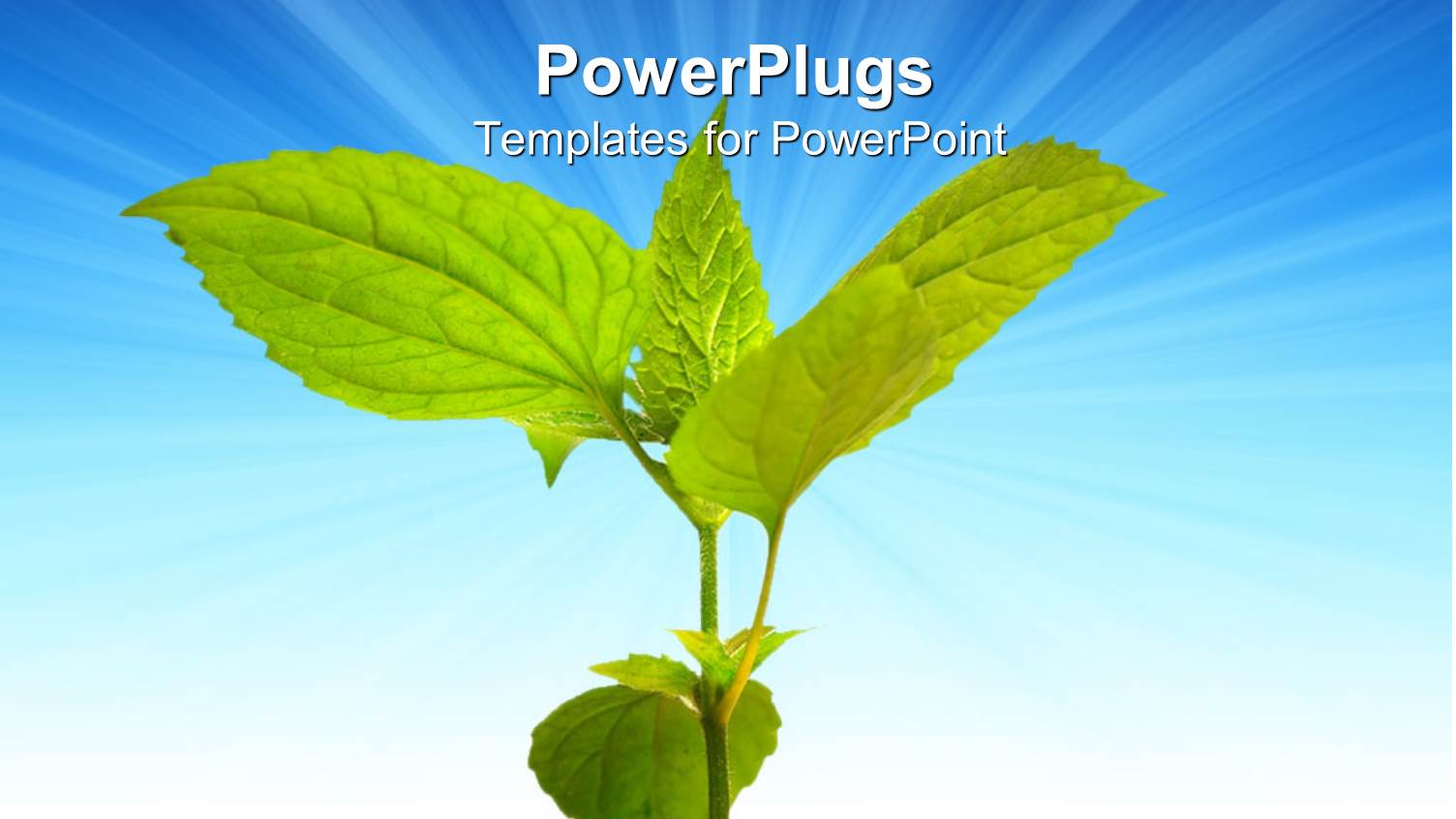 Fresh Green small Growing Plant Between Stack of Coins on Blue Background