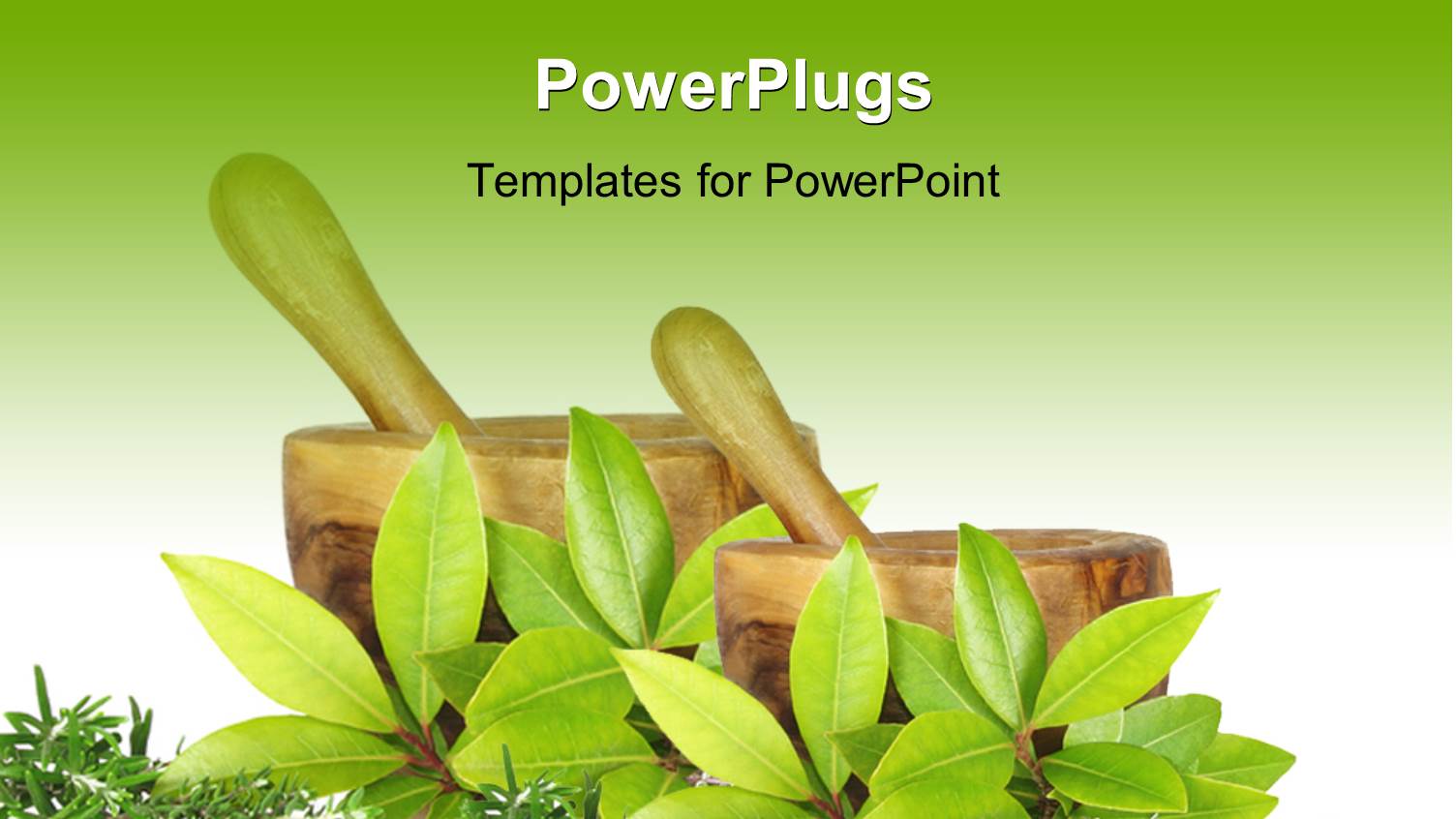 Fresh Herb Selection of Rosemary Golden Bay, Silver and Common Thyme Leaves