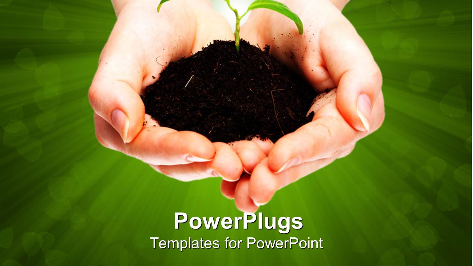 Fresh Plant Growing from a small Pile of Earth Held in Hands