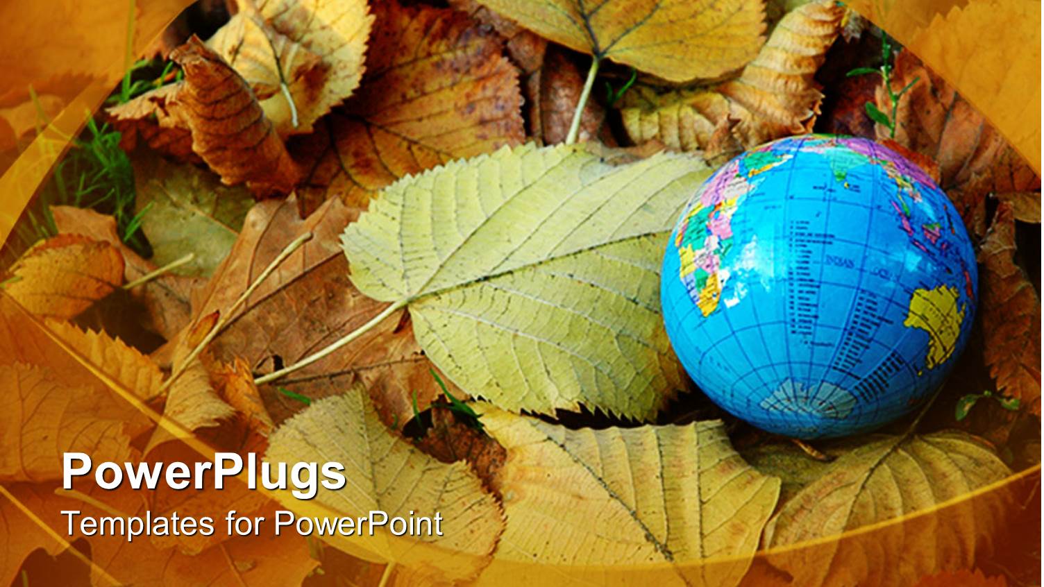 a Globe Along with a Number of Leaves