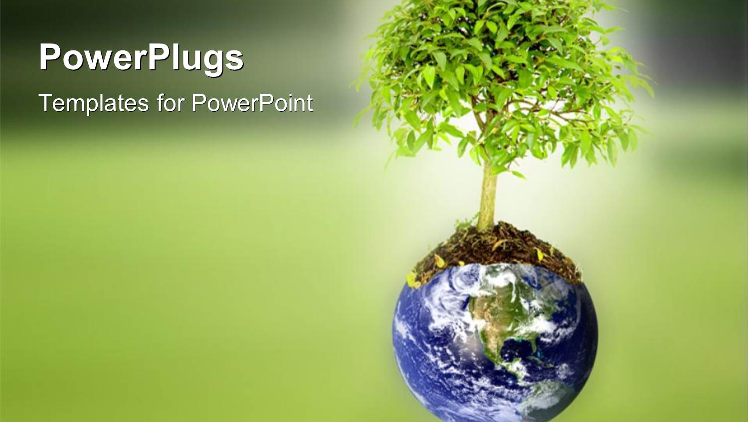 a Globe with a Tree and Blurr Background