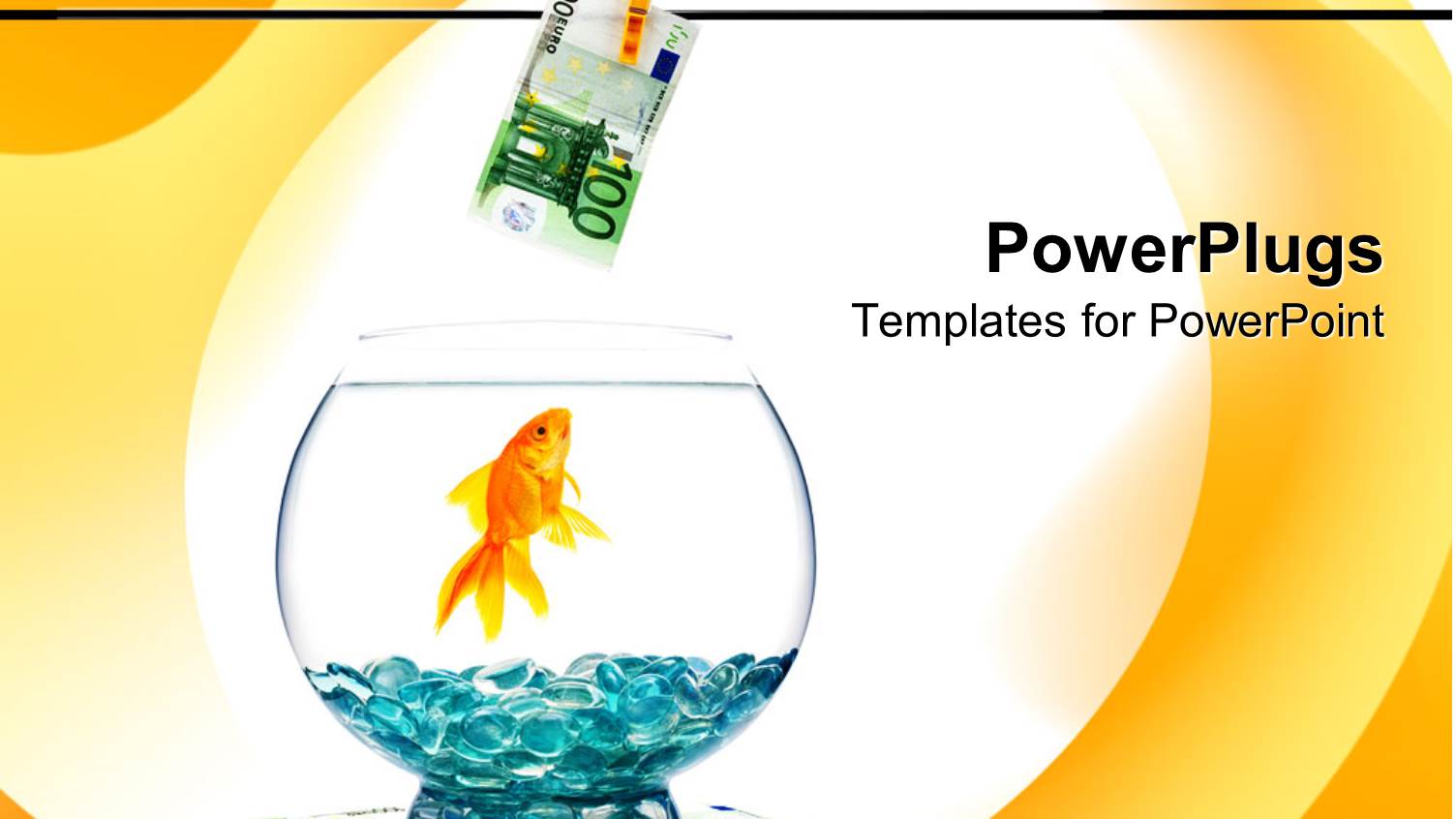 a Goldfish in an Aquarium and a Currency Note on Top of Aquarium