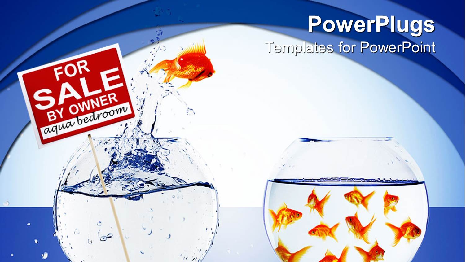 Goldfish Jumping from Empty Bowl with for Sale by Owner Sign into Second Bowl Filled with Fish