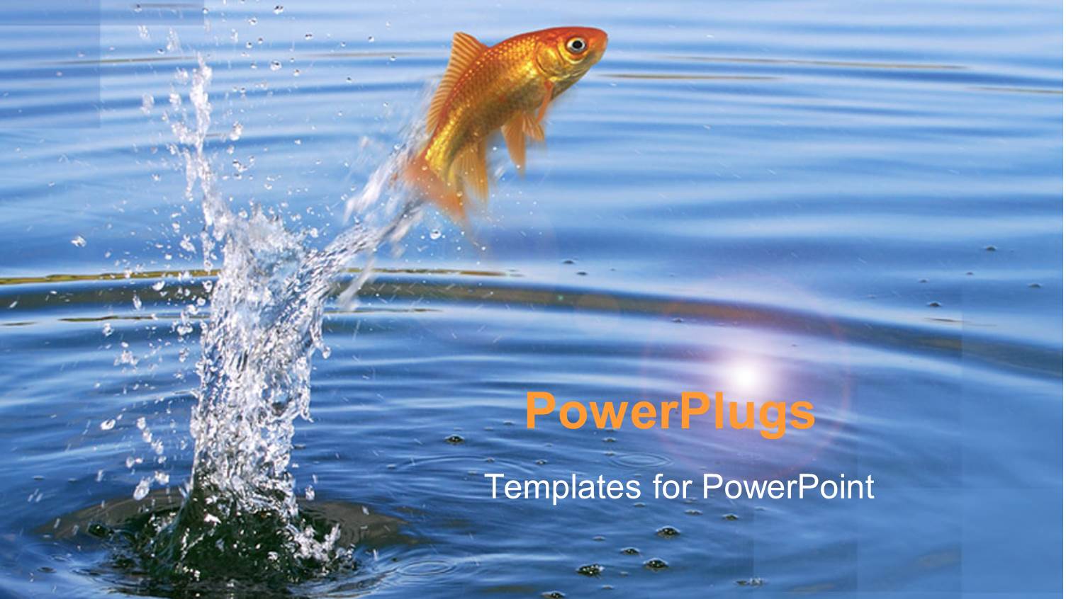 Goldfish Jumping Out of the Water with Splashing Water Around Fish