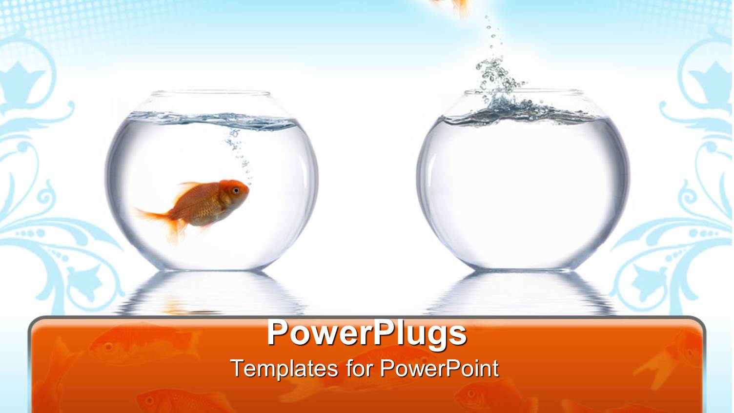 Goldfish Leaping from One Bowl to Another Fish's Bowl, Blue and White Background