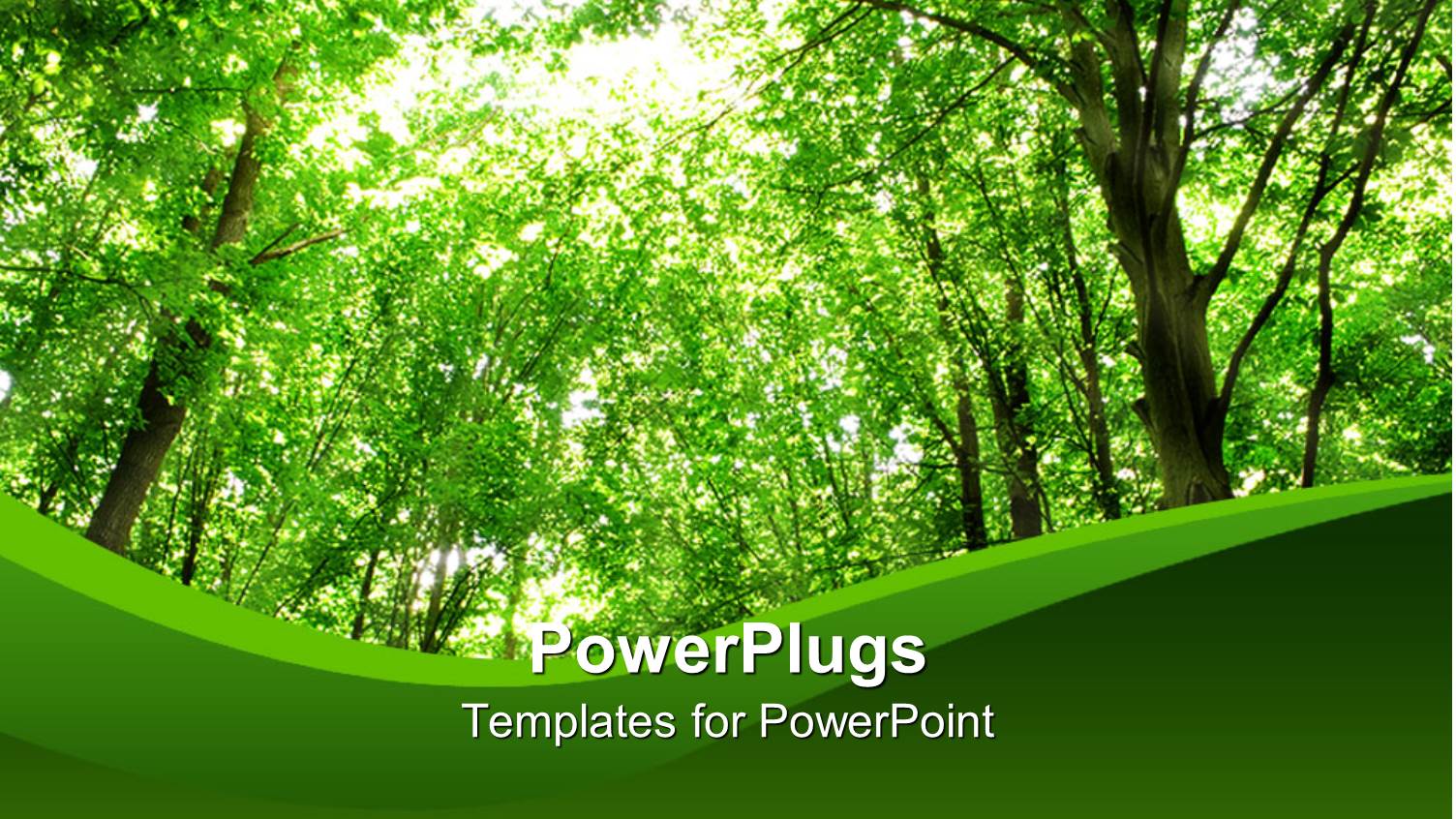 Green Background Showing Green Forest and Grass