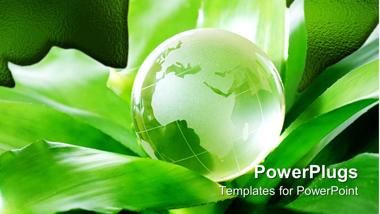 Green Earth Globe on huge Green Leaves and Green Background