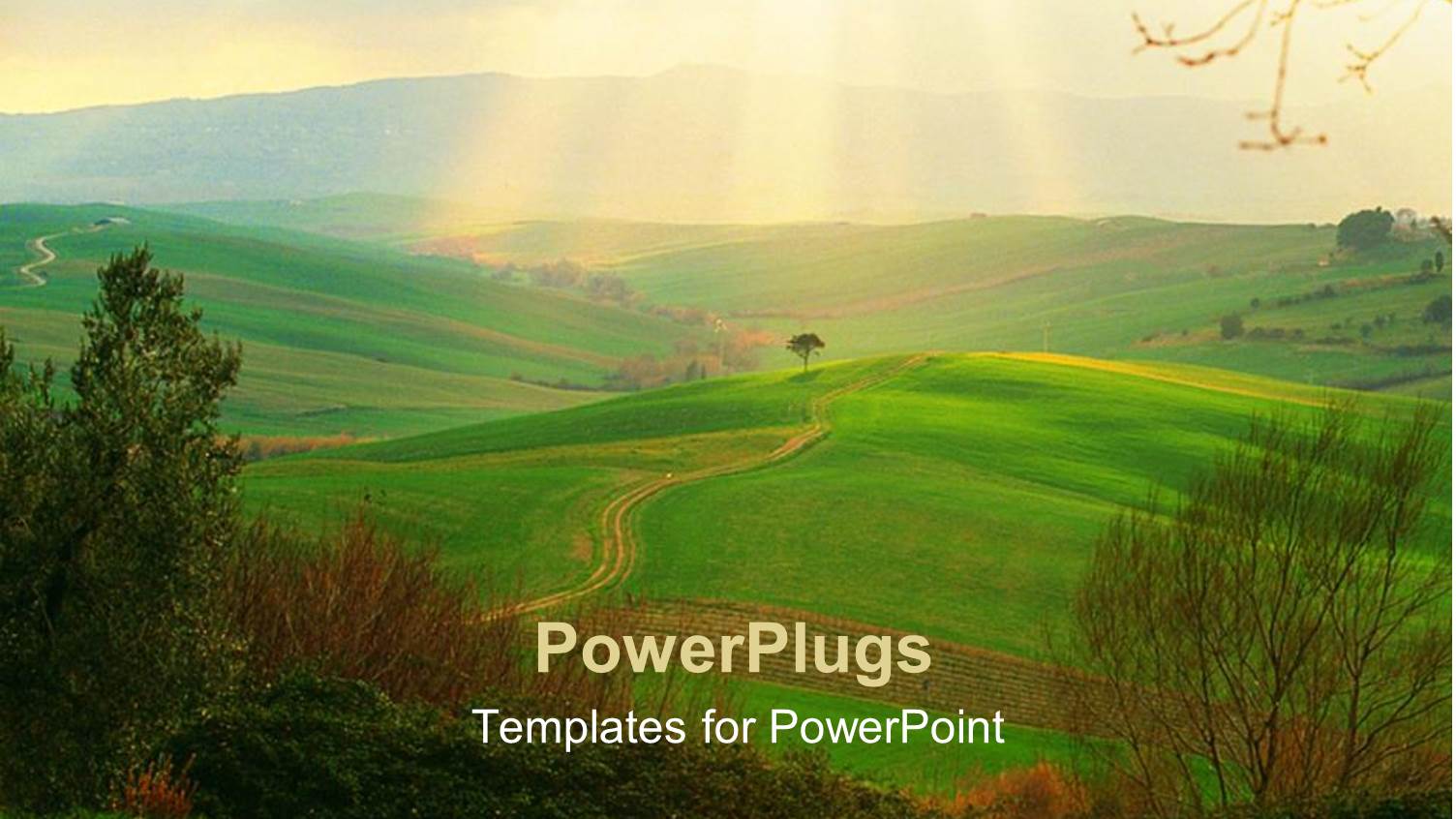 Green Fields of Campagna Toscana, Italy with Sunlight Rays in Horizon