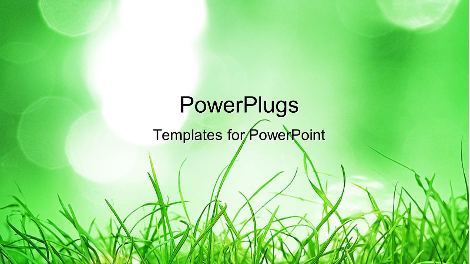 Green Grass Depicting Nature in the Background