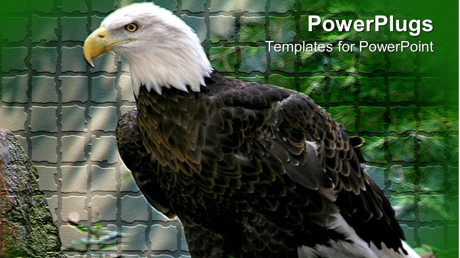 Green and Grey Brick Patterned Wall with American Eagle Standing N Rock