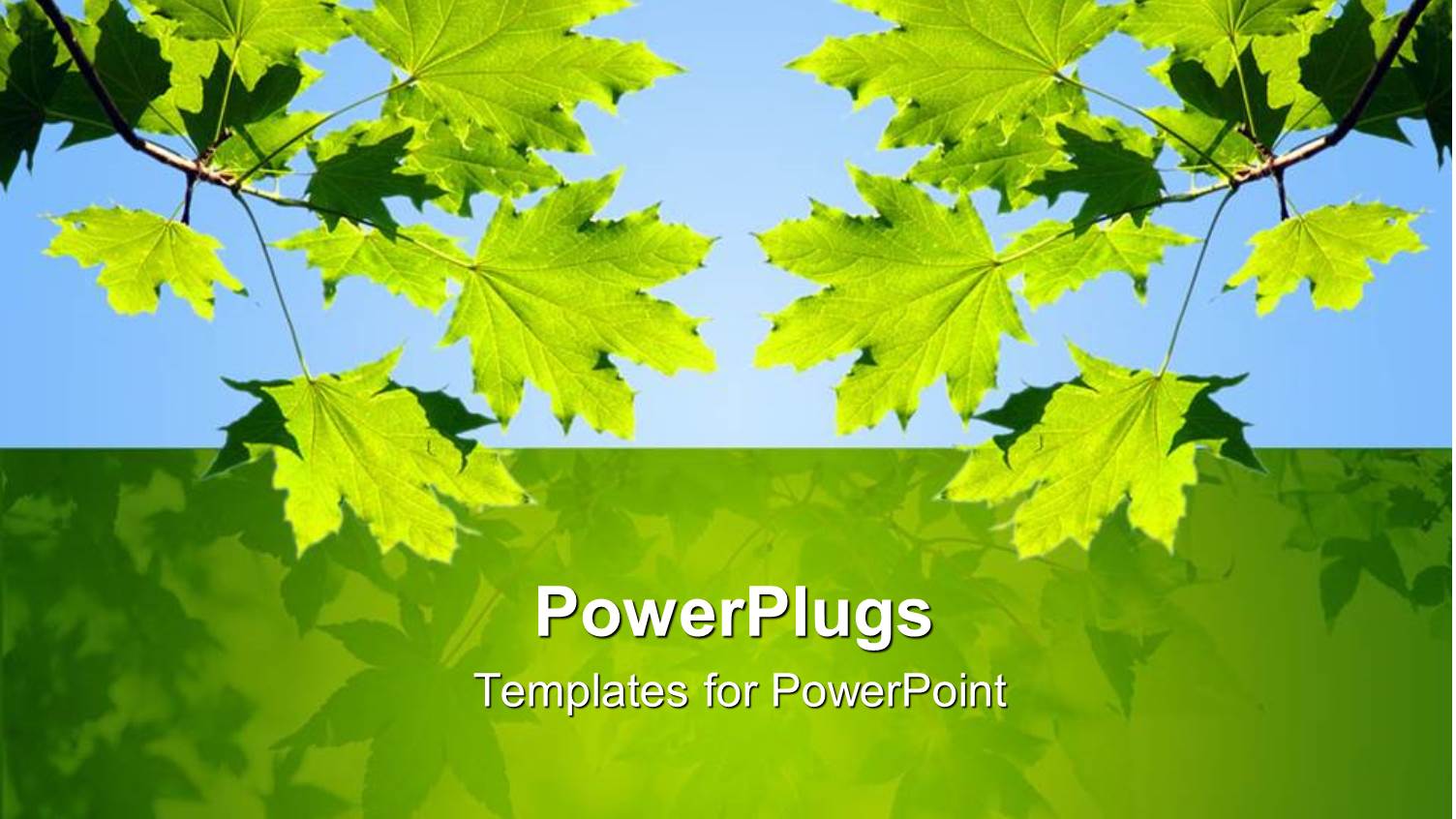 Green Leaves on Branches Over Blue Sky and Green Background