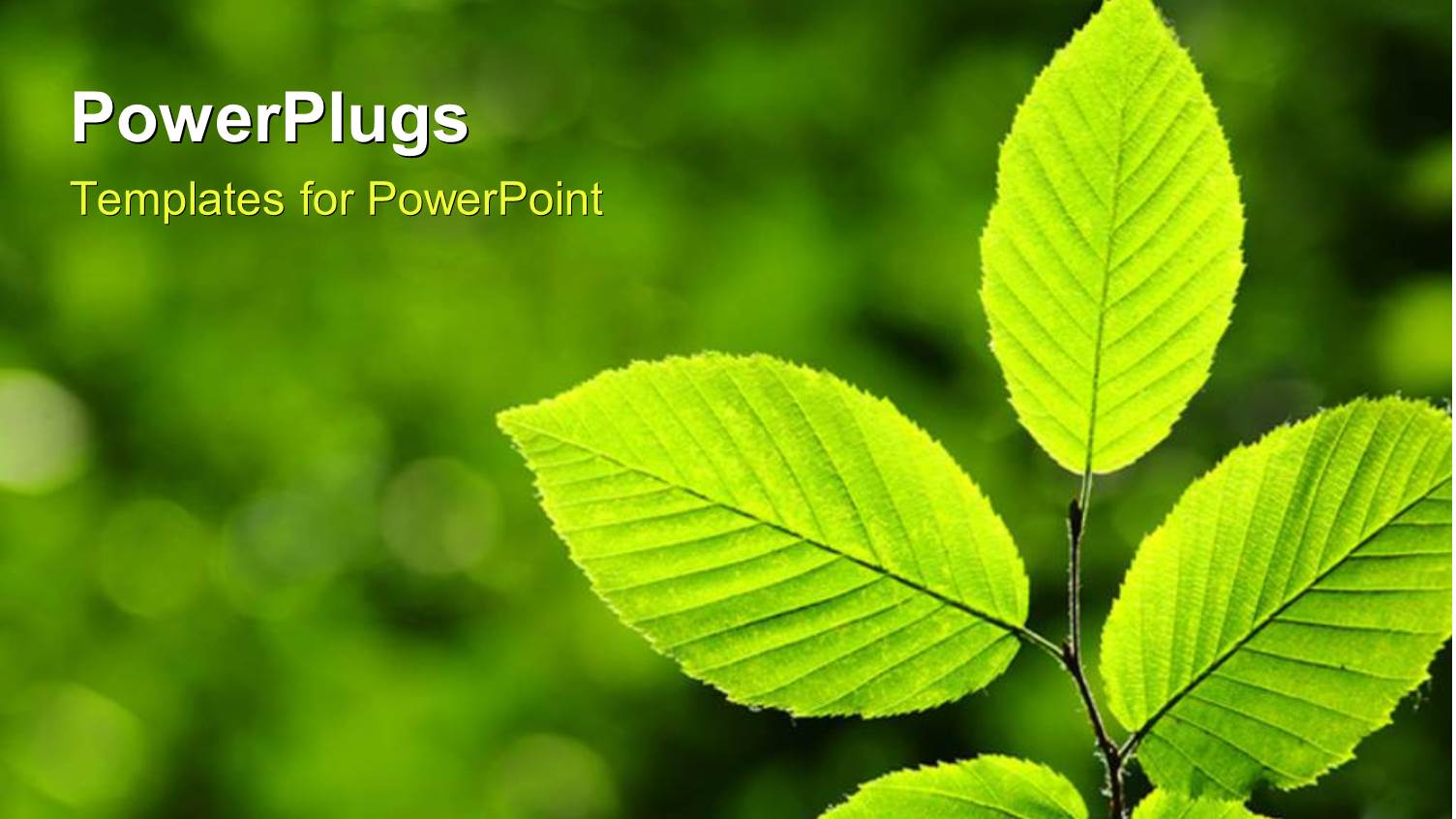 Green Leaves Over Abstract Background Depicting Nature