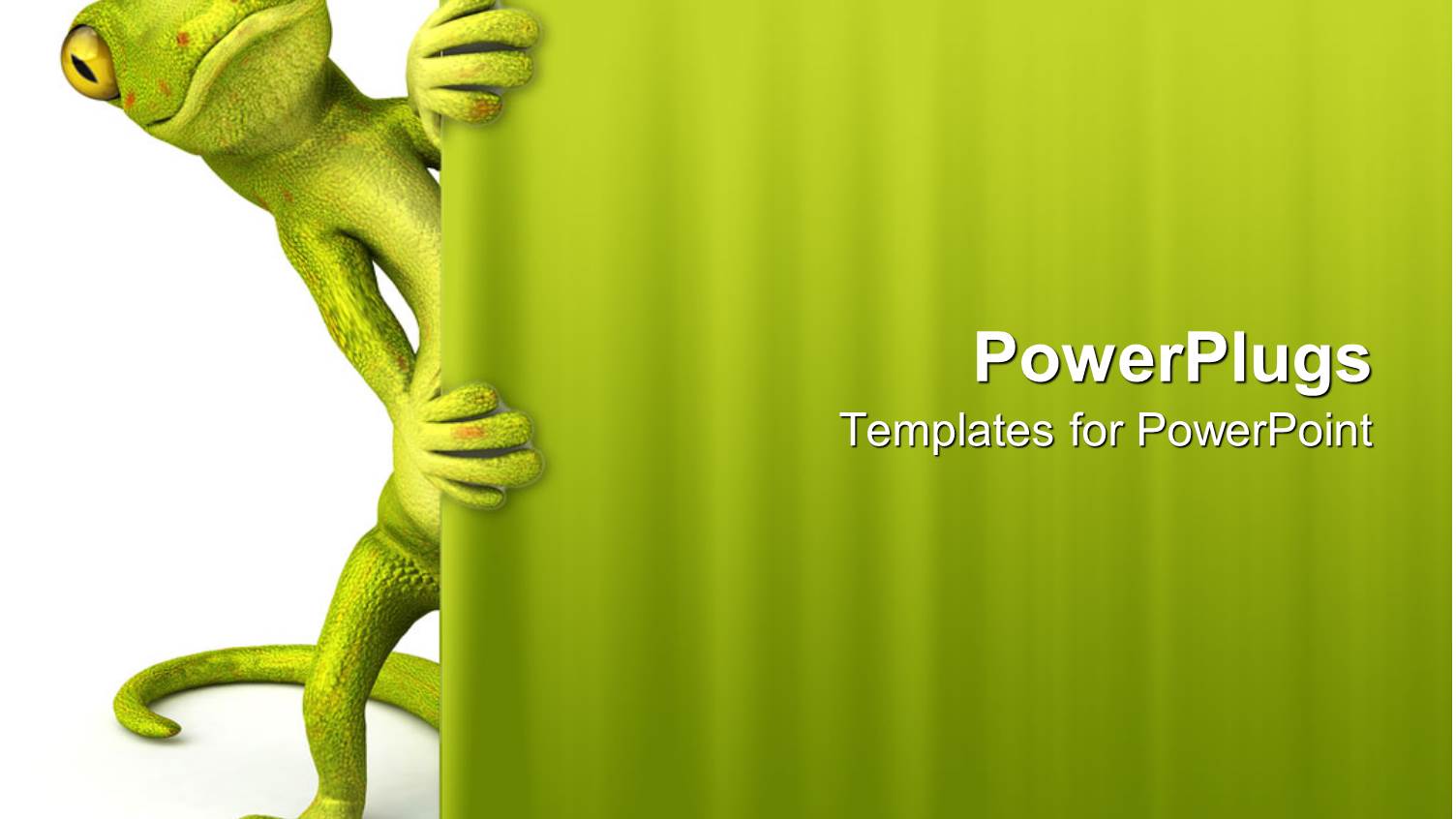 Green Lizard Peaking Through Curtain White and Green Background