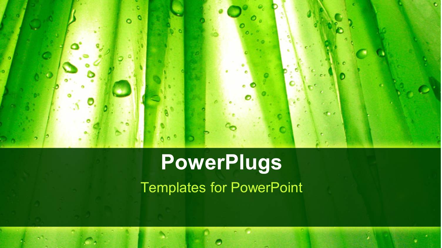 Green Plants with a Lot of Water Droplets