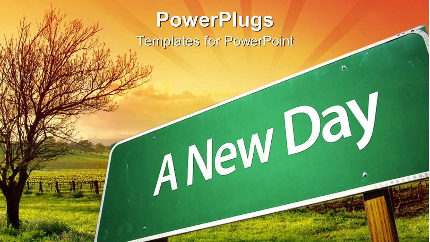 Green Road Sign Post with a New Day Text