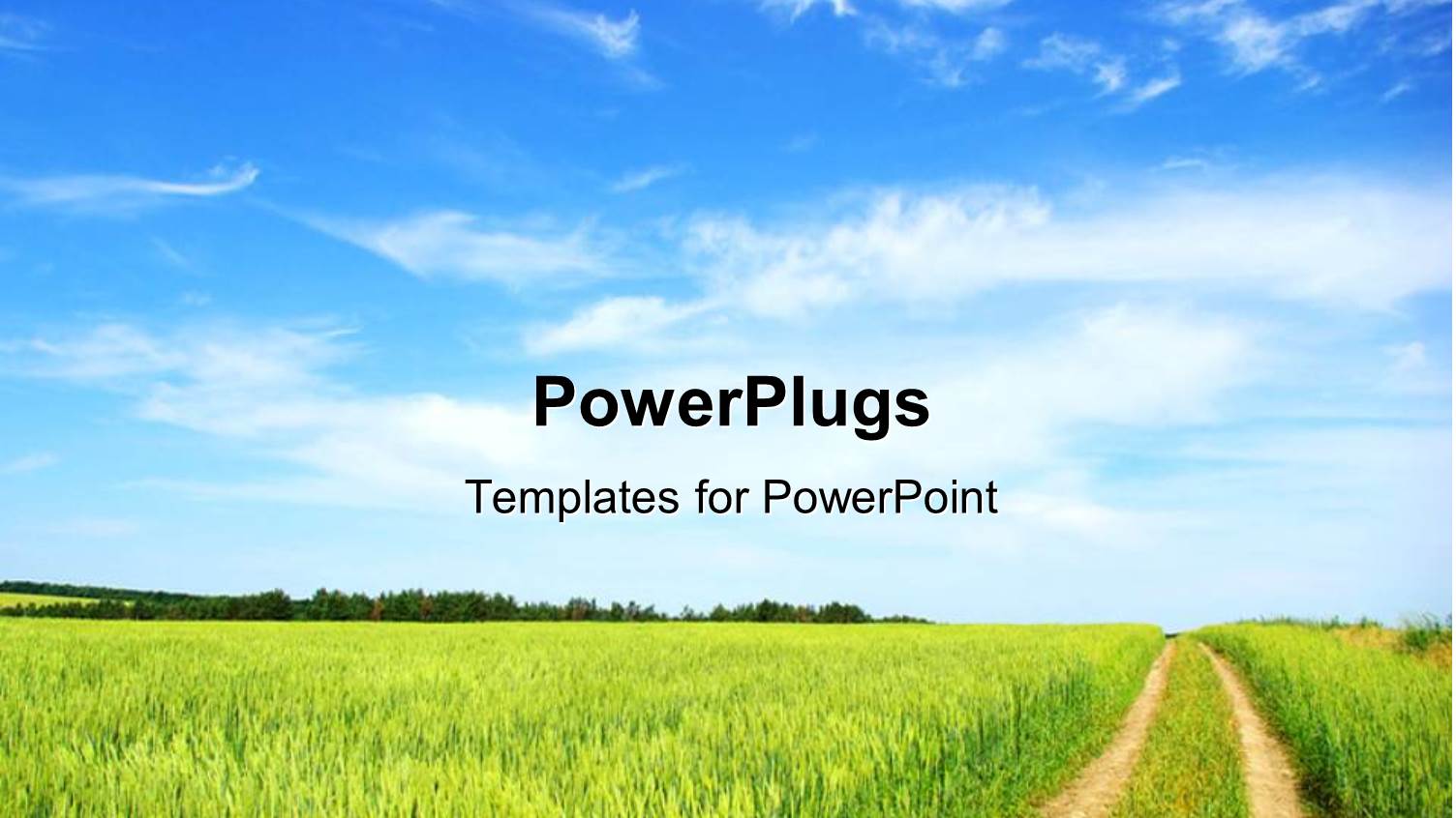 Green Vegetation with Tire Trails with Blur Cloudy Sky