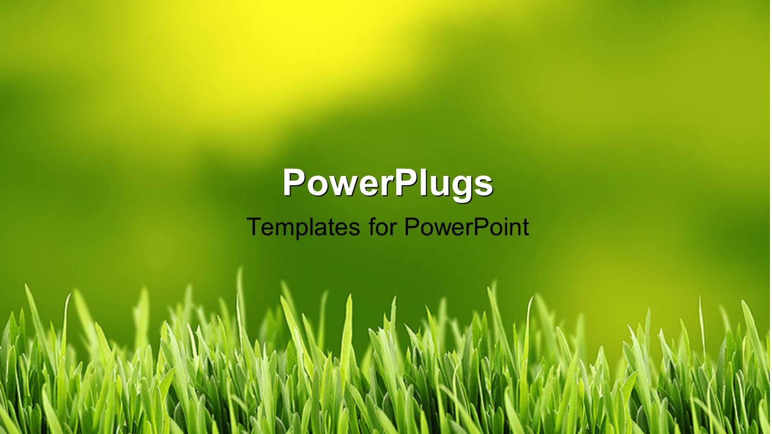 Green and Yellow Grass Background