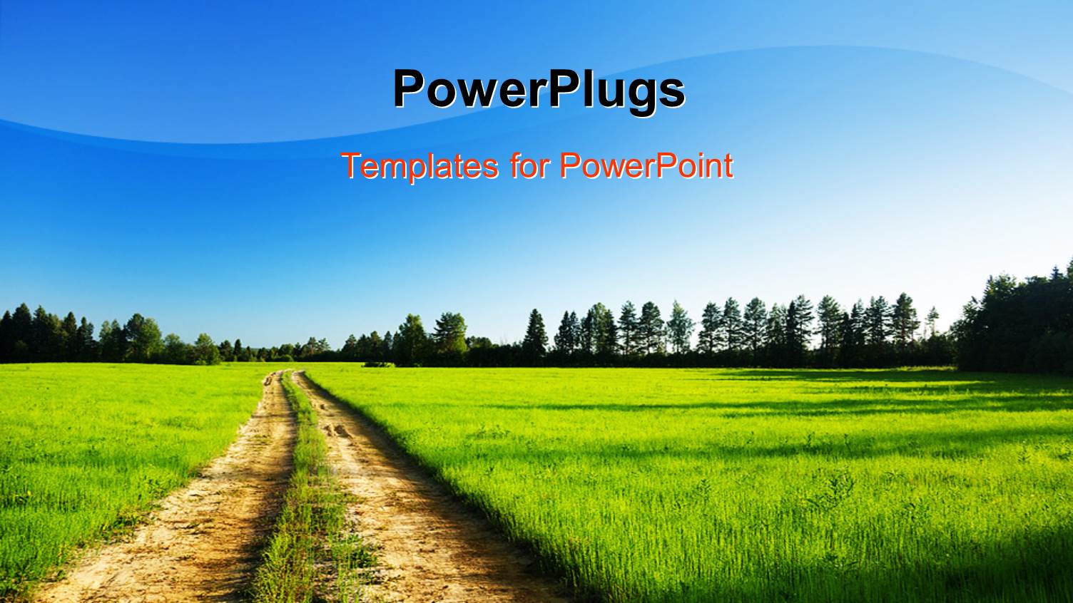 a Landscape View of a Green Field and Trees