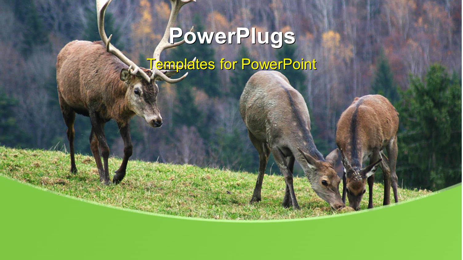 Group of Deer Over Green Ground on Autumn Background