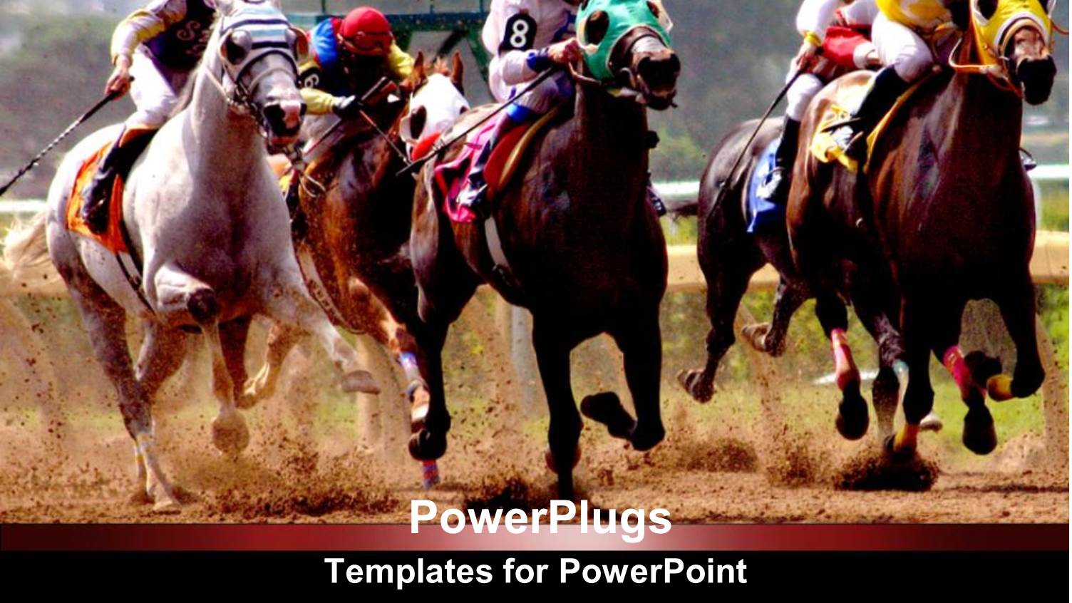 a Group of Horse Riders Racing with Each other