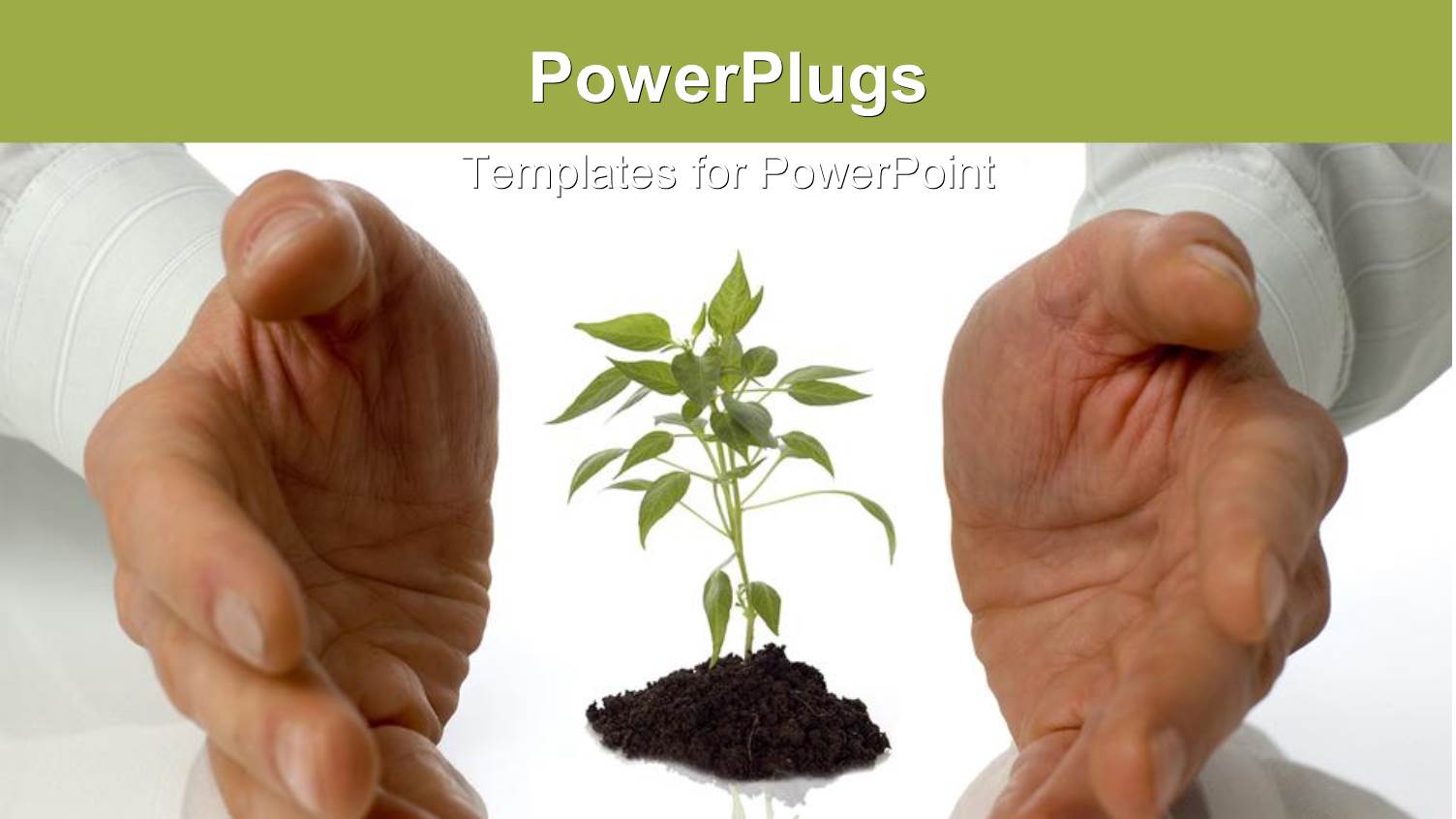 Growing Plants Garden Artificial Life Labs Science Environment Sustainability