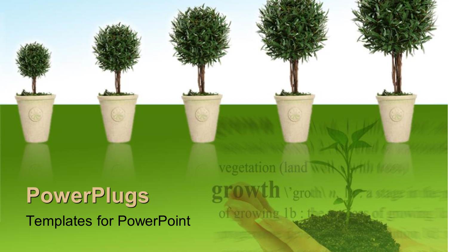 Growing Tress and Plants is Good for Environment and Human