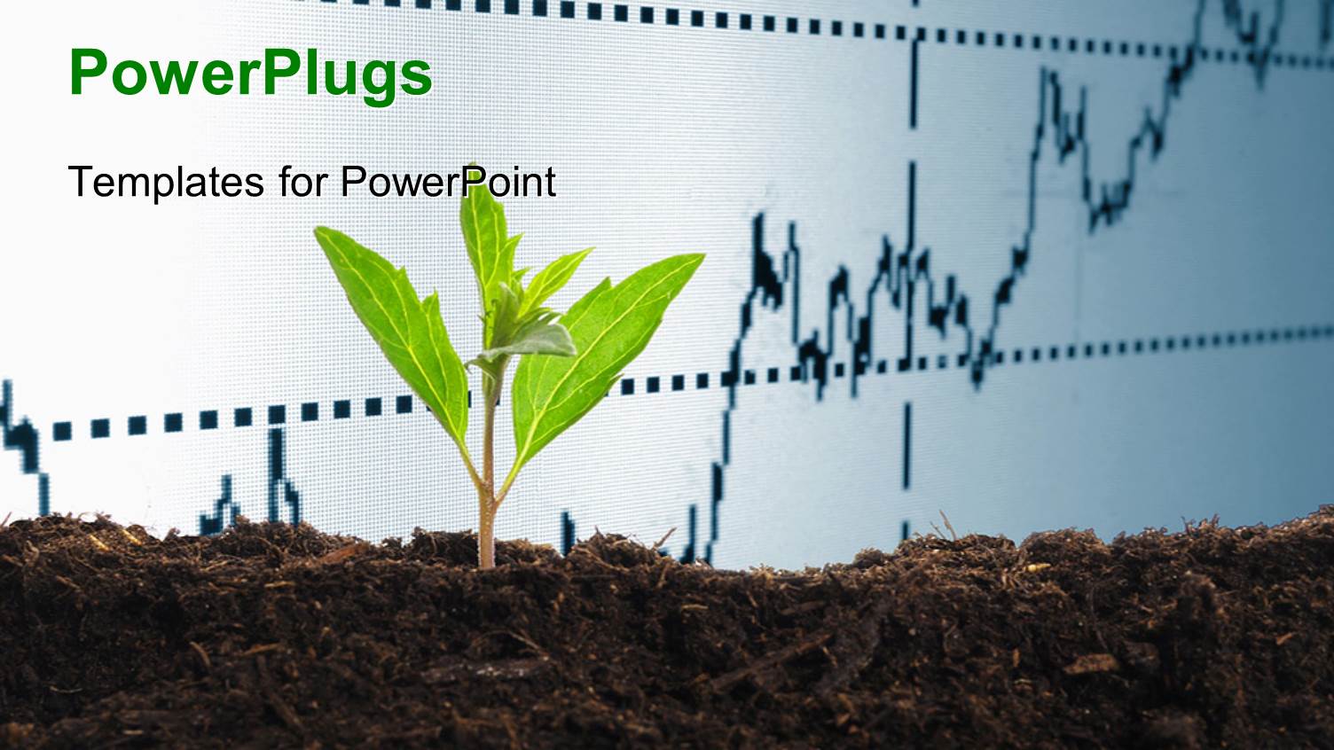 a Graph with a Green Plant in Front